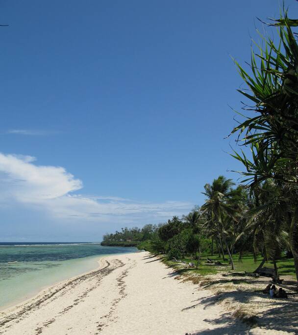 The beach