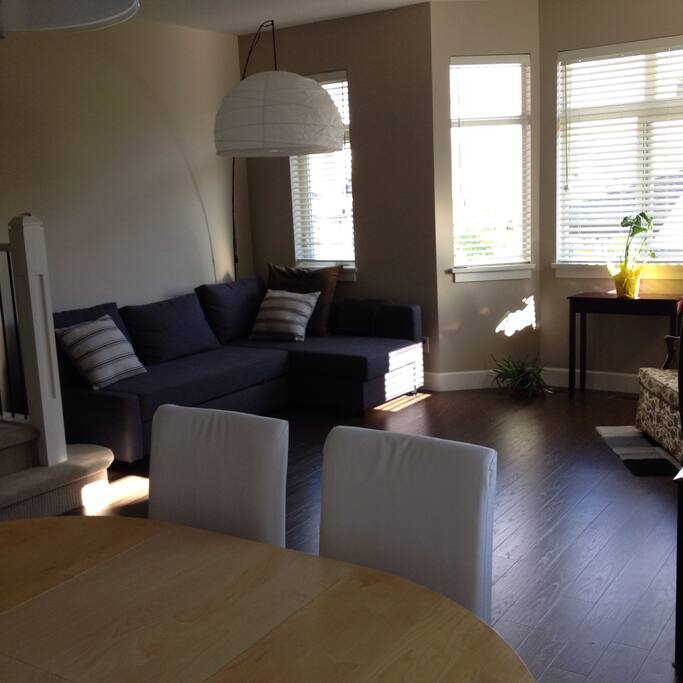 Living room with convertible couch.