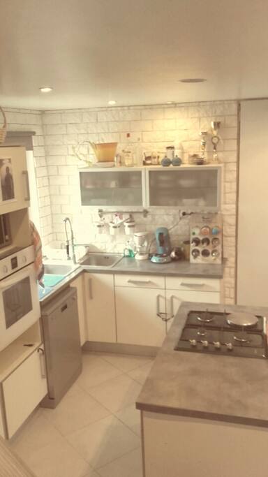 cuisine équipé ( plaque de cuisson au gaz,four, four micro onde ,lave vaisselle, senseo et cafetière,frigo.)