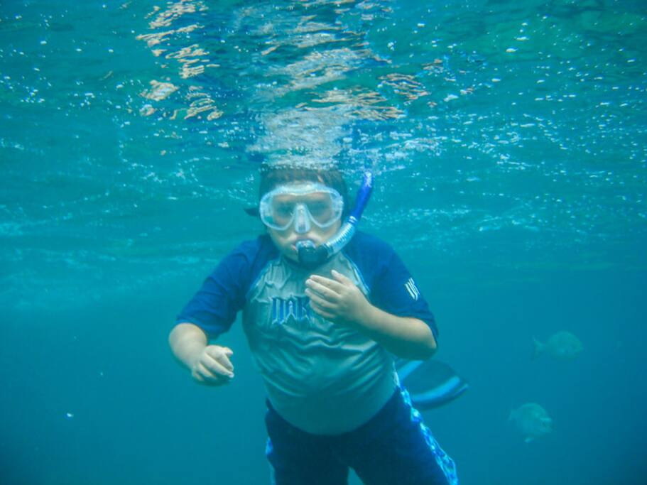 Snorkeling at Lanikai Beach