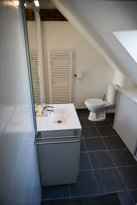 Salle de bain avec douche