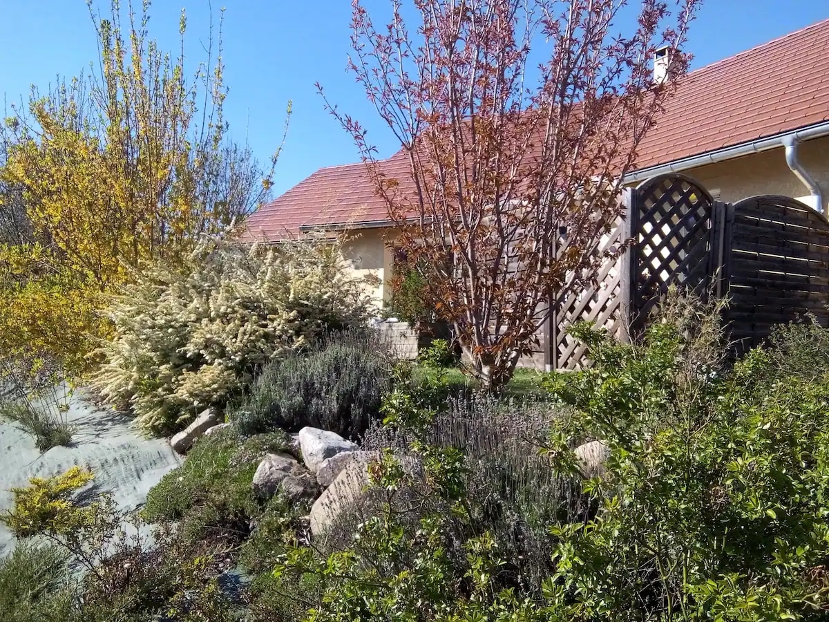 A well-maintained garden features various shrubs and trees, including a blossoming tree and lavender. Natural stones are integrated into the landscape, complementing the lush greenery. The home is visible in the background, combining a warm exterior with a tiled roof, under a clear blue sky.