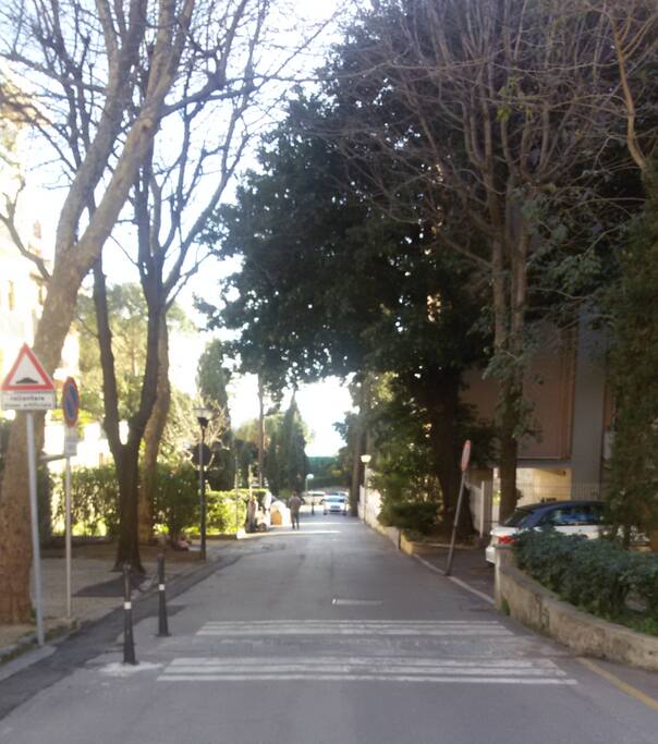 viale di accesso