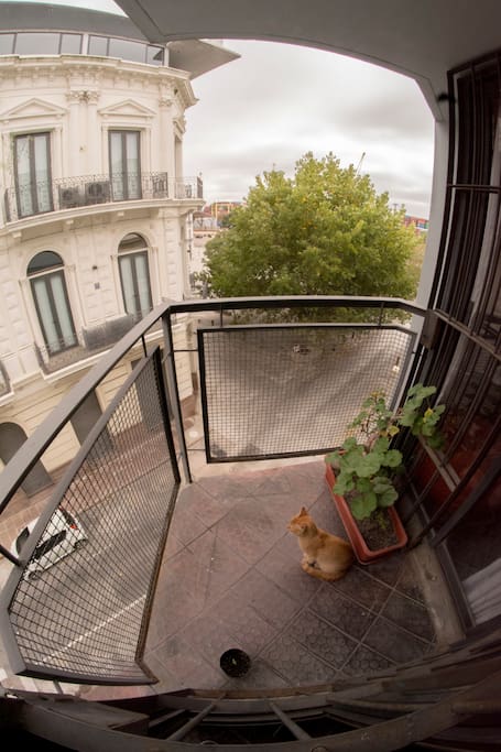 Living room balcony