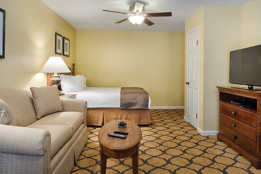 Main living area of studio condo. Includes bed, sofa, TV, mini kitchen.