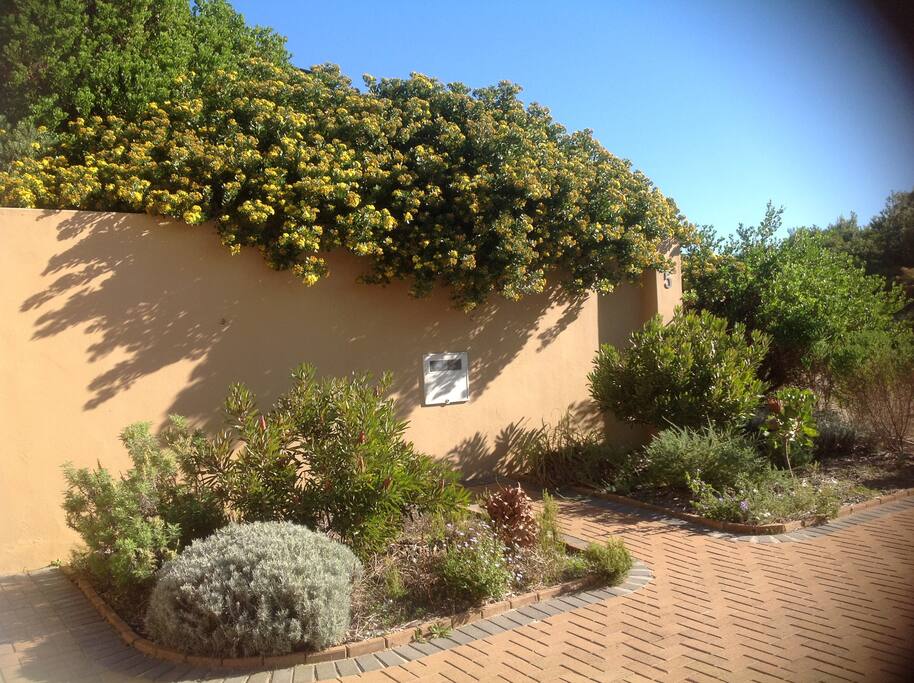 Indigenous Garden