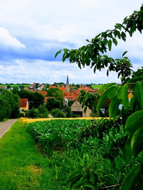 Vacation home Martin Reichard/Apartment No. 3
