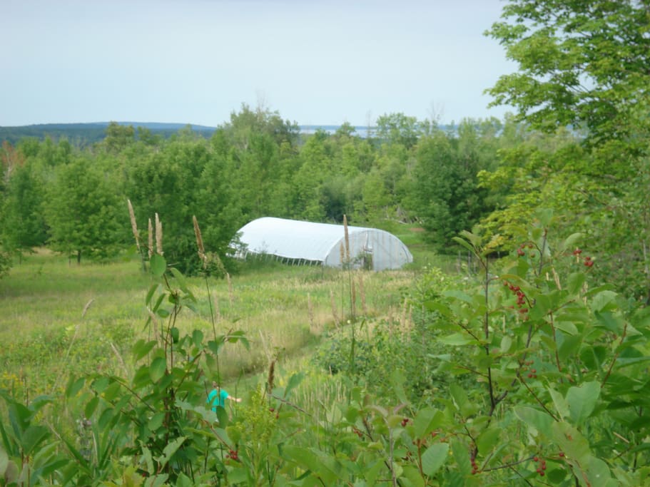 The view from the top of the property with the high tunnel and Lake Superior in the distance
