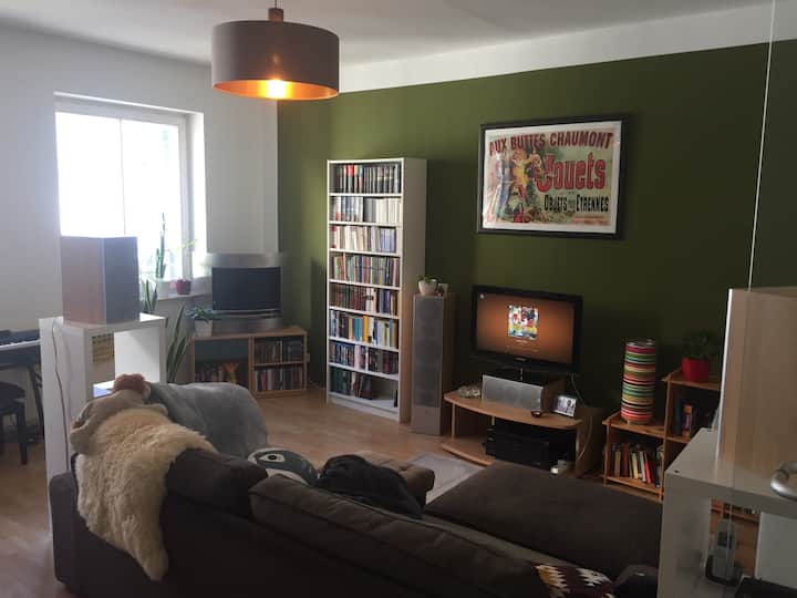Cozy apartment in the heart of Rostock