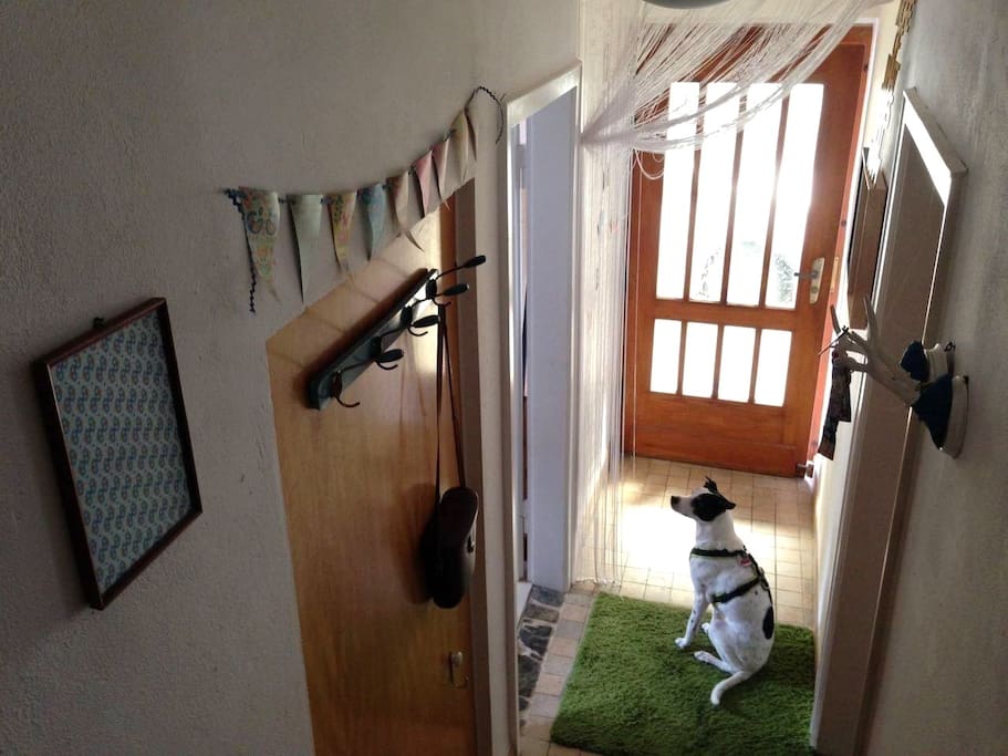 Hunde sind herzlich willkommen