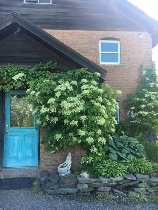 Front of the House