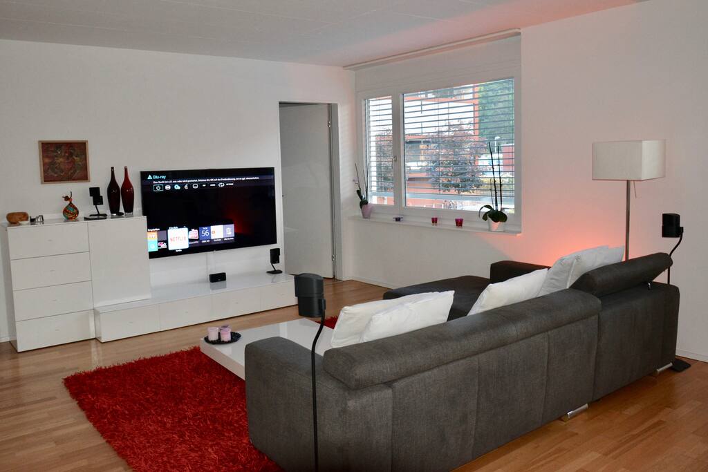 Living room with sleeping sofa, 65" TV & Bose Home Cinema sound