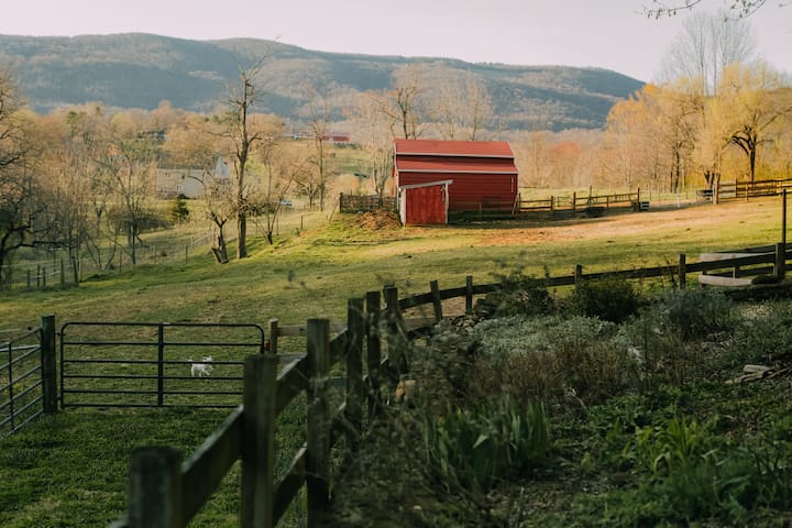 Afton Farm Stay