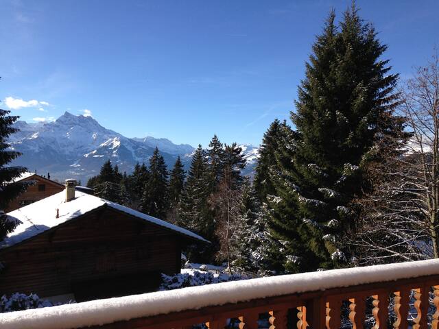 Chalet Tetras gallery image 4