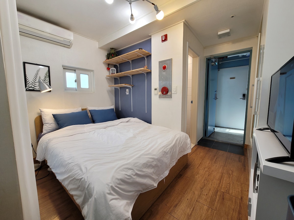 A spacious sleeping area features a large bed with a white duvet and blue accent pillows. Shelves are mounted on the wall, displaying plants. Natural light enters through two small windows, and a doorway leads to a bathroom area. A television is positioned in front of the bed.