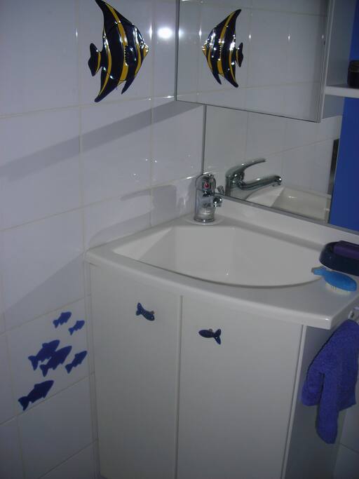 Salle d'eau