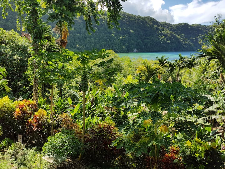 The Dudek's Nest B&B Rock Island View Room Houses for Rent in