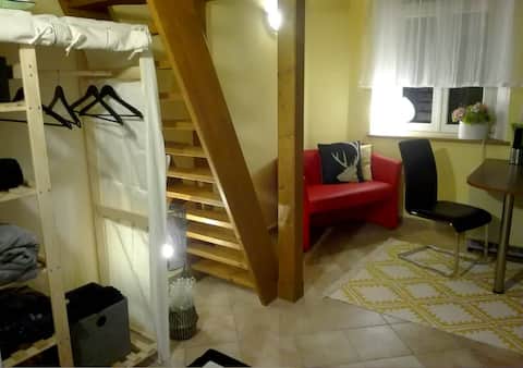 Successful Airbnb property: Studio apartment in the Art Nouveau Villa Frank near the colonnade in Mariánské Lázně