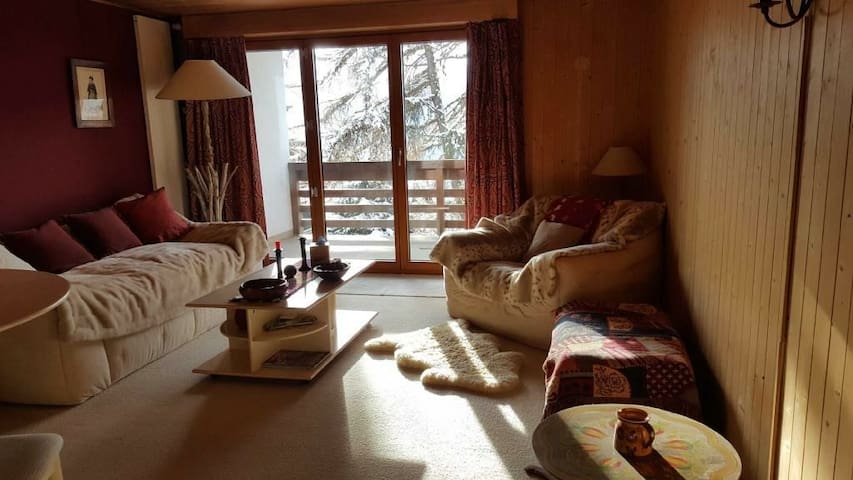 Charming One Bedroom Apartment in Central Verbier