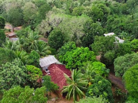 Peaceful guesthouse sigiriya  (Villa)