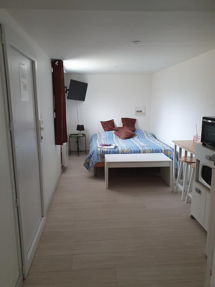 Studio Dans Un Pavillon Calme, Proche Troyes. - Troyes