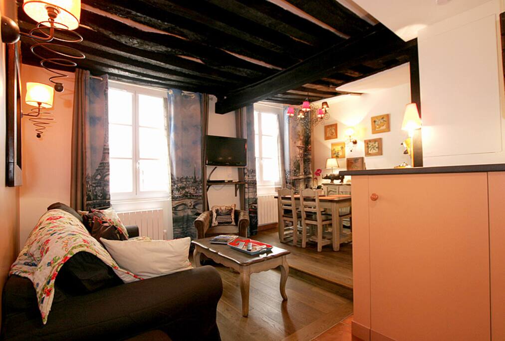 1 Bedroom apartment rue de la Huchette Apartments for Rent in Paris