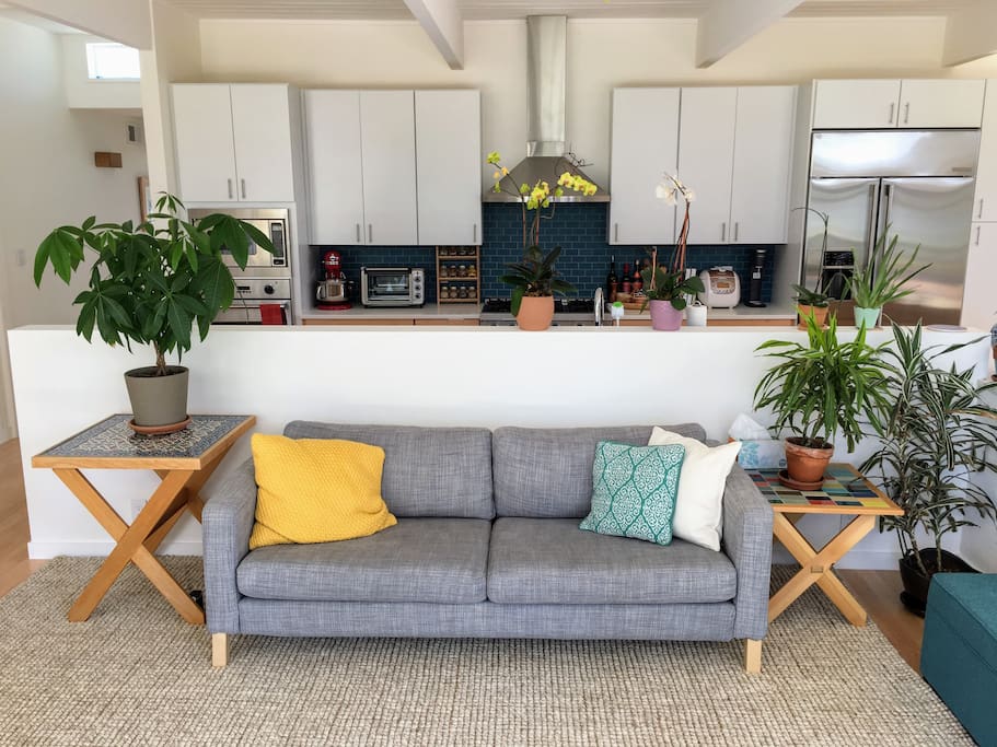 Main room and kitchen