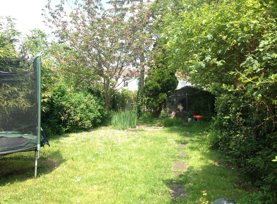 The garden. Always in need of a little weeding but a wonderful, leafy, sunny escape.