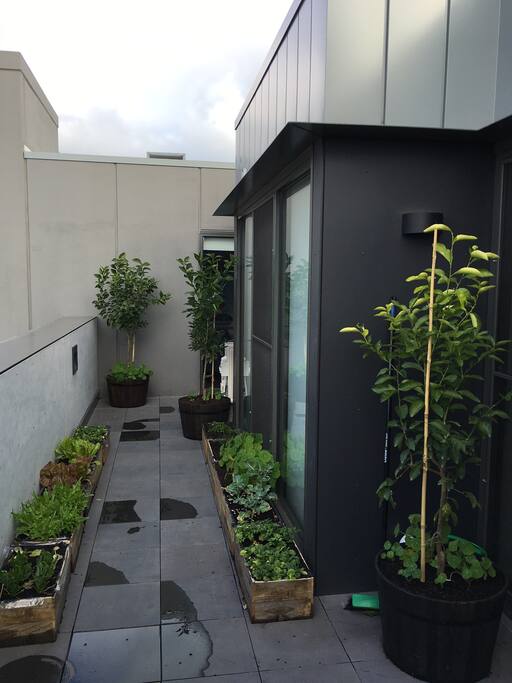 Large, east-facing balcony garden with views of the Dandenong Ranges