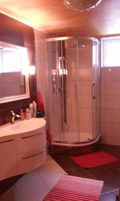 Dusche zum Zimmer (reserviert für Airbnb Gäste)