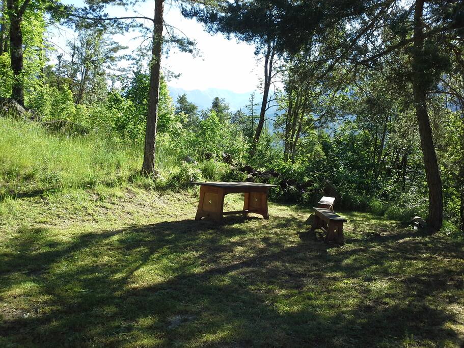 Jardin en été