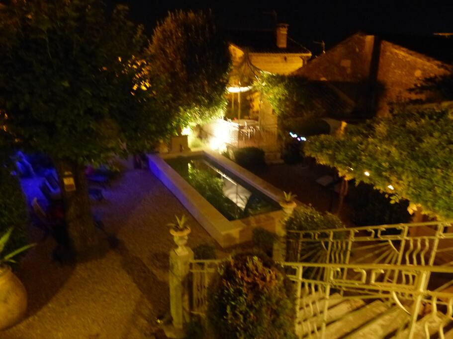 Night garden