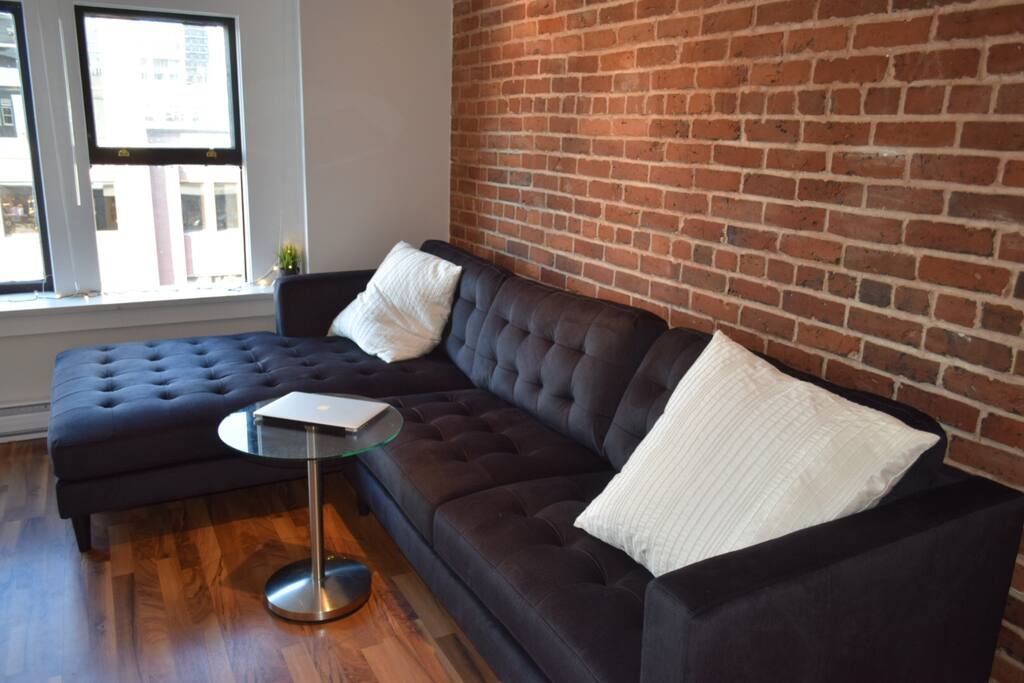 Brand New Couch/ Living Room