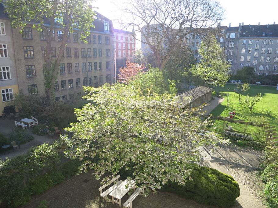 View from