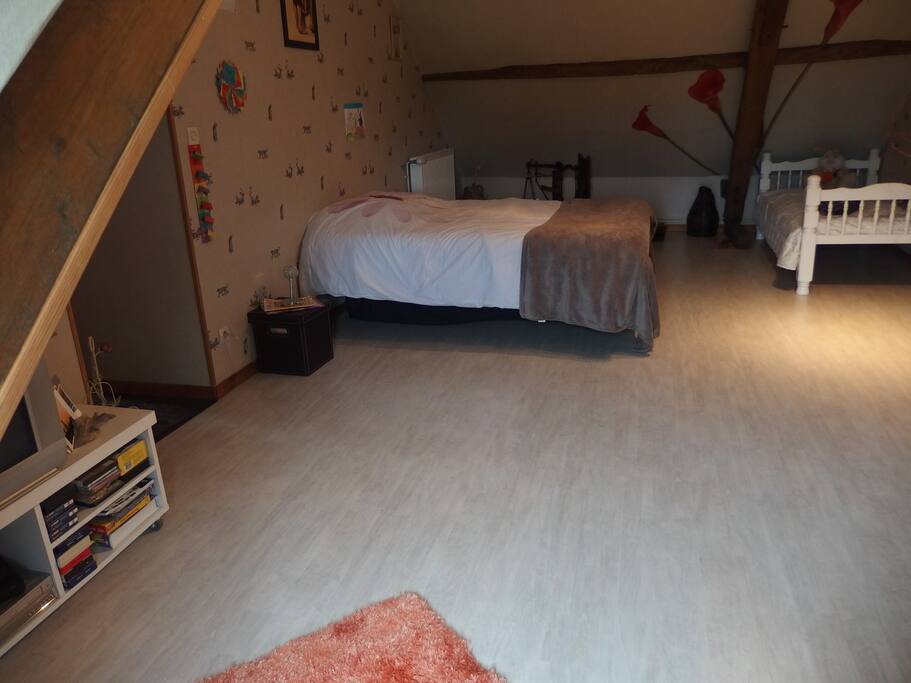 cette pièce est à l'étage ; il y a un lit double et un lit simple. Il y a une petite TV et un petit meuble pour poser un ordinateur, un canapé 2 places. Les wc avec lavabo se trouvent à côté ; elle mesure environ 30 m2