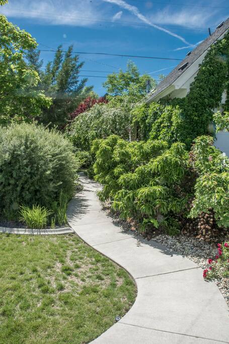 Path leading to the apartment