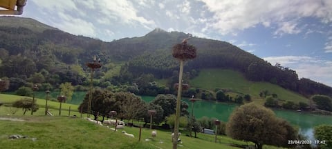 Small Cabárceno Room.reg. no. G-103528