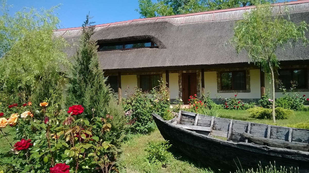 A traditional house with a thatched roof is set amidst a lush garden filled with blooming roses. An old wooden boat rests nearby, complementing the serene landscape, while the large windows of the house reflect the natural surroundings.