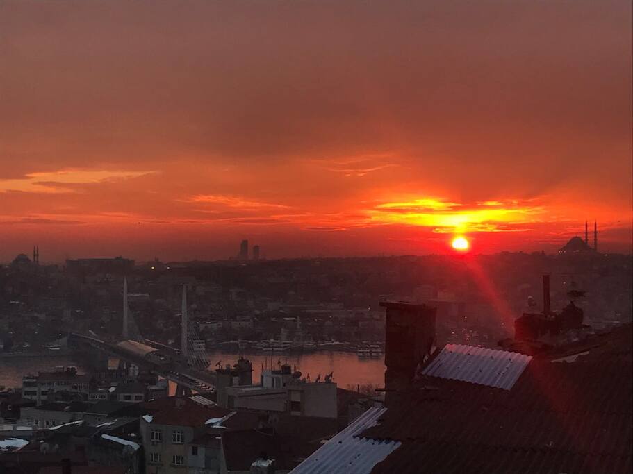 View from the terrace