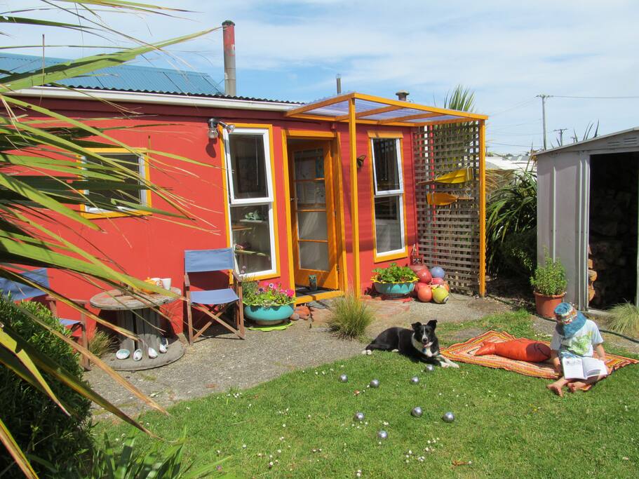 The Backyard