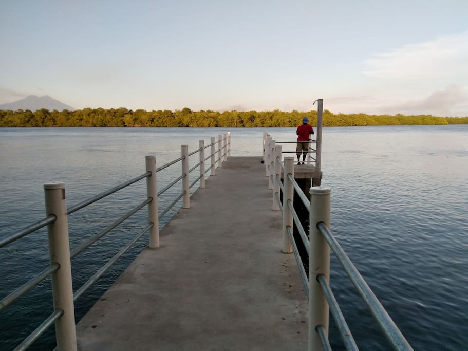 Muelle con regadera en zona del estero, puedes nadar, pescar, usar tu bote inflable o simplemente disfrutar de la vista.