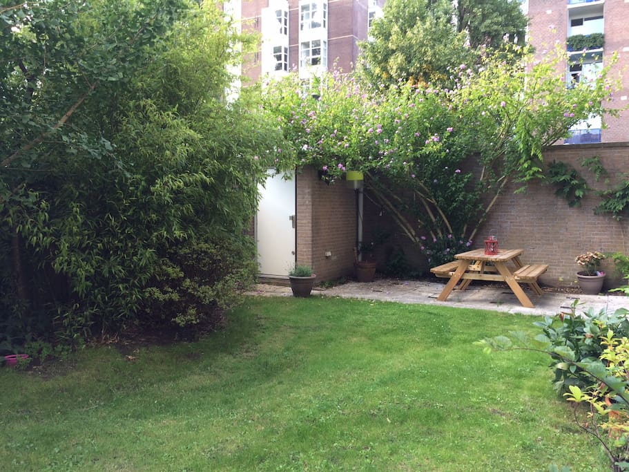 The garden in spring and summer time