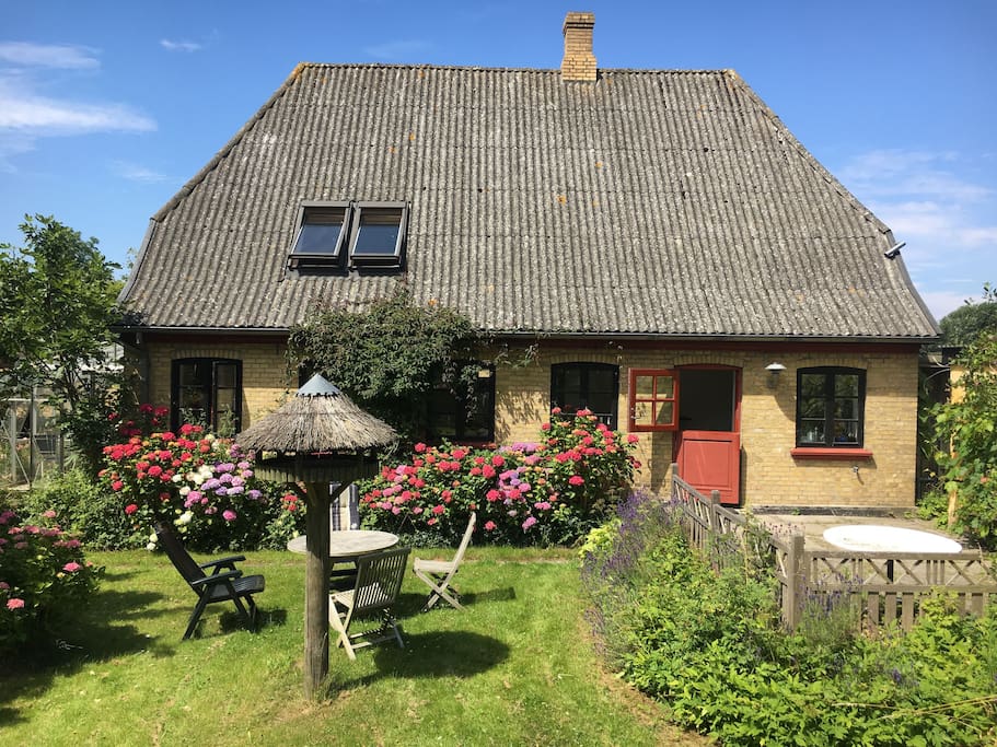 The house seen from the backyard (photo taken in July)