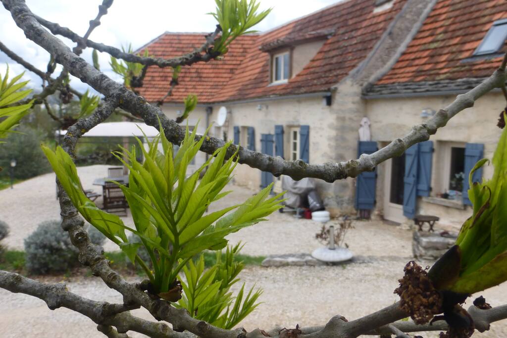 La maison