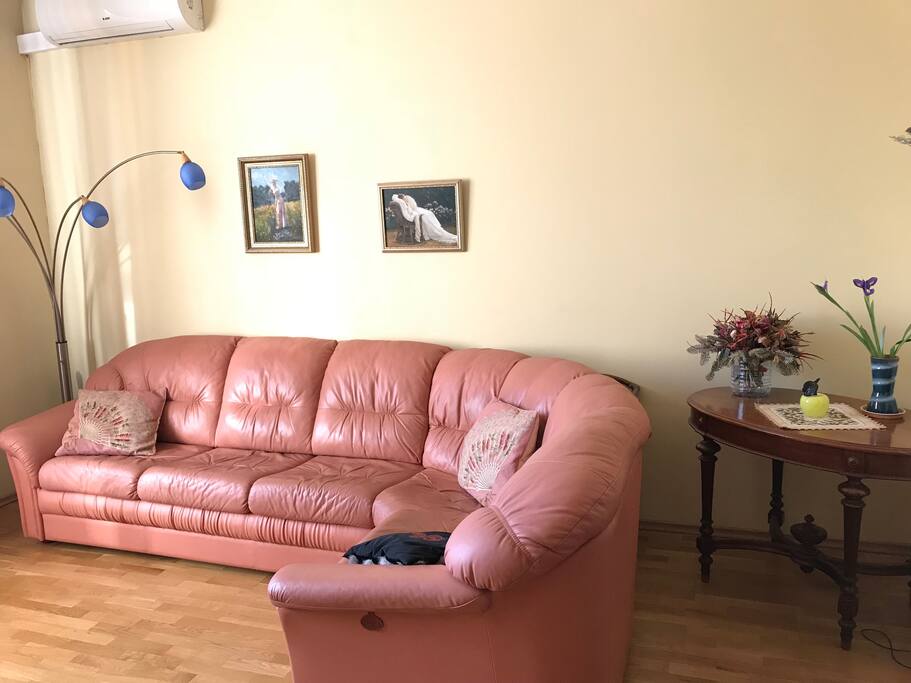 Приятный американский диван