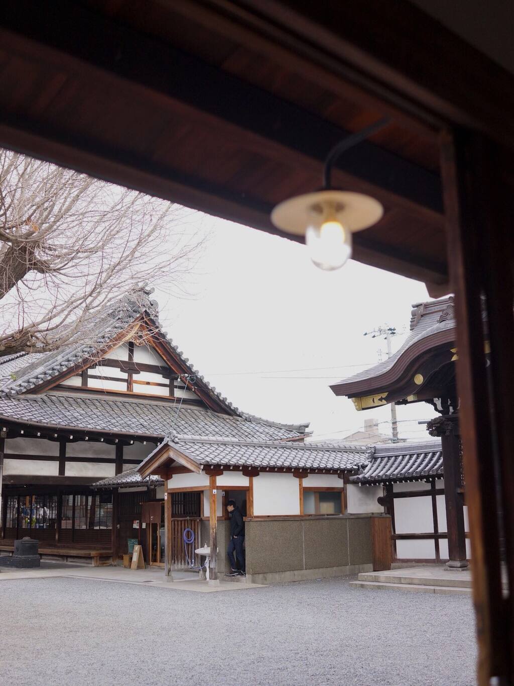D Department在京都佛光寺里的一顿素食 京都旅游攻略 尽在airbnb爱彼迎