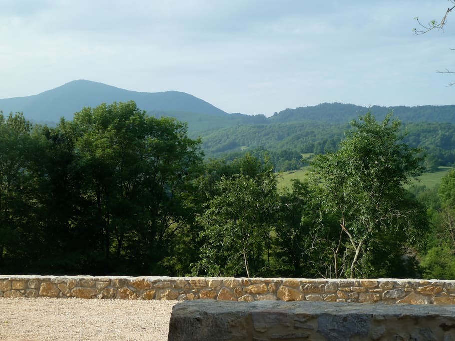 Vue depuis le patio