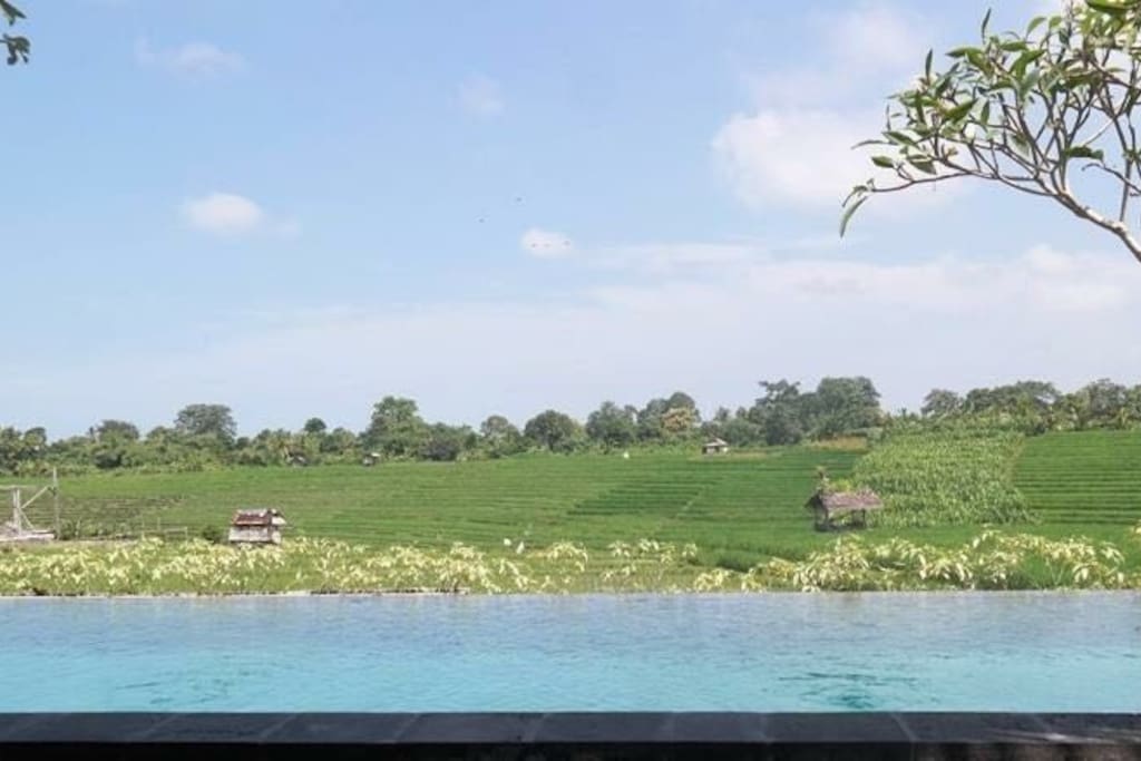 View from pool