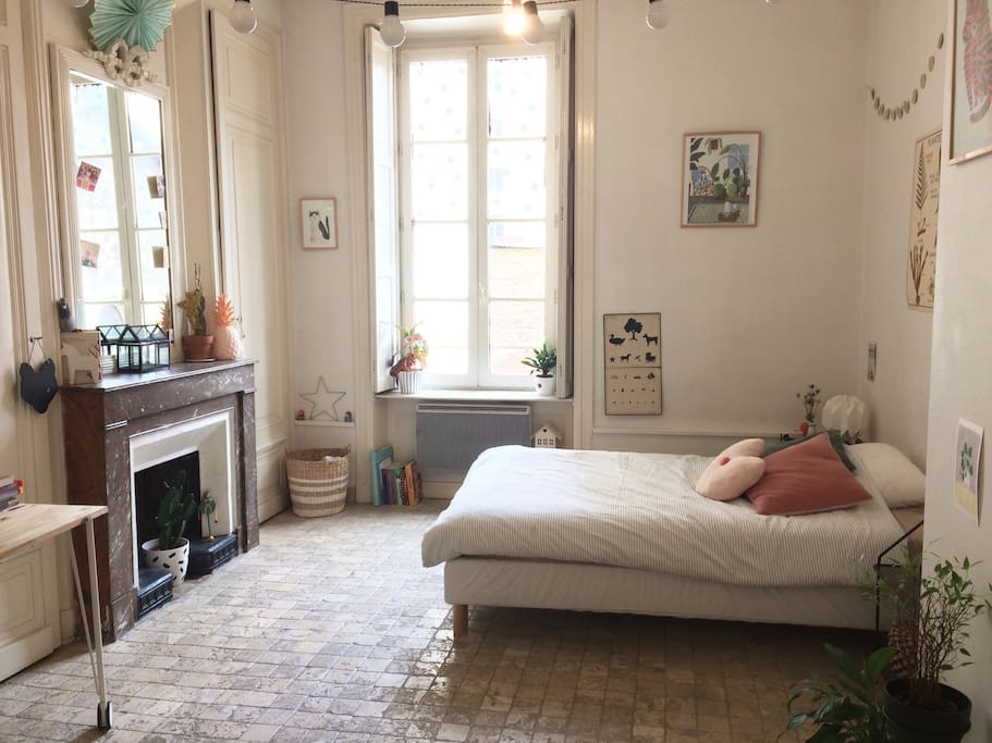 Un petit studio-cocon traversant, donc lumineux !