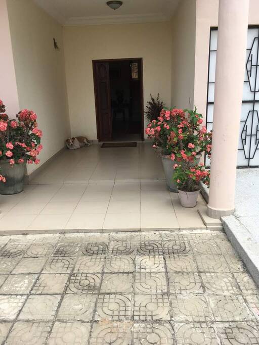 Front Pad